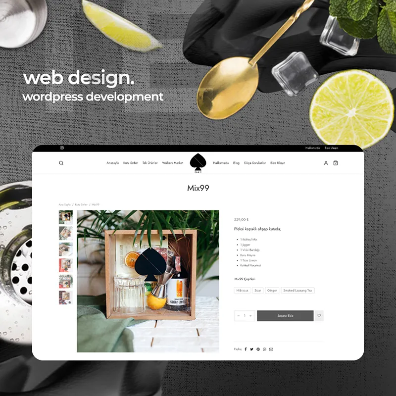 Web Arayüz Tasarımı