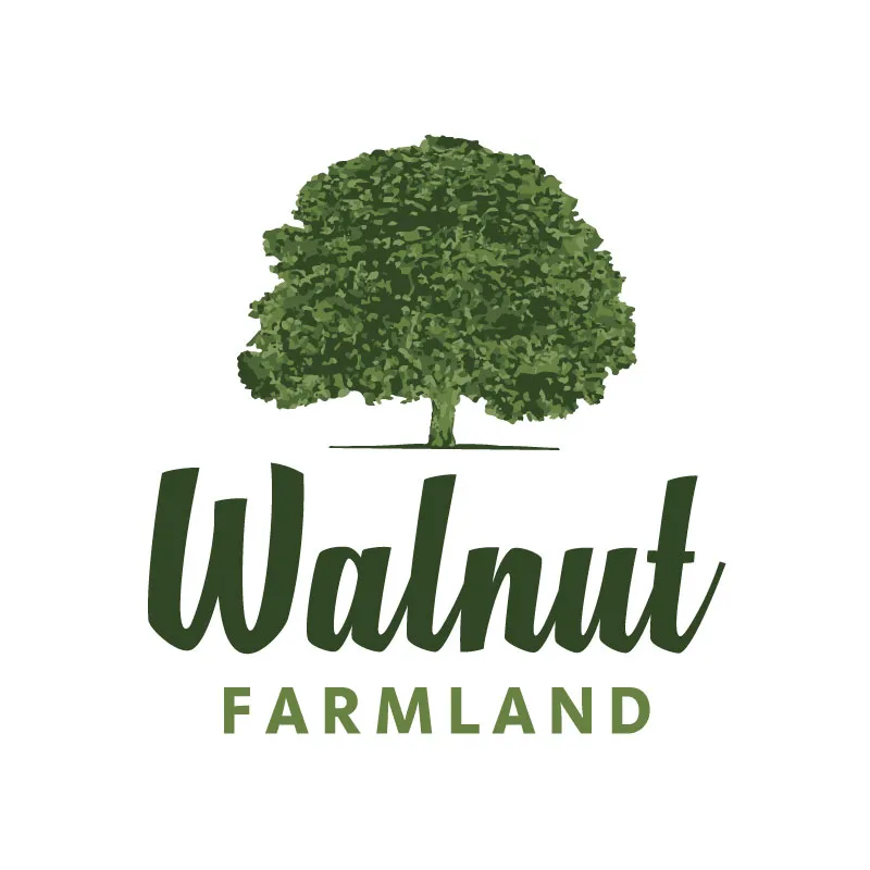 Logo Tasarımı