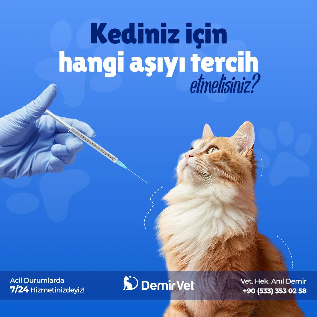 Post Tasarımı